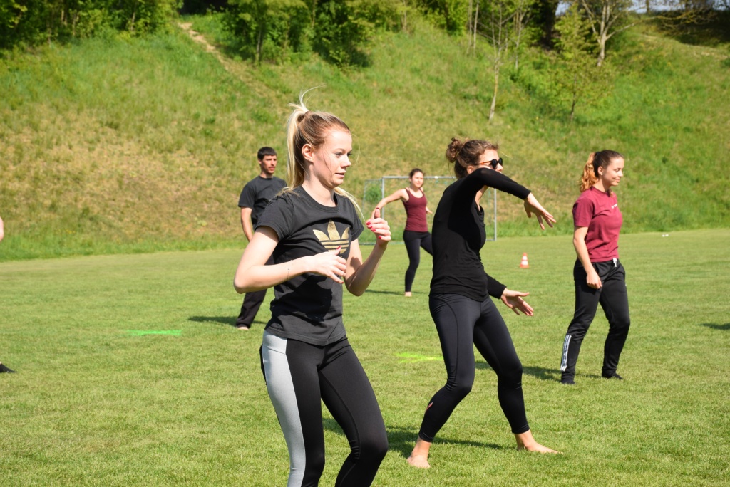 Bild 1 (129)